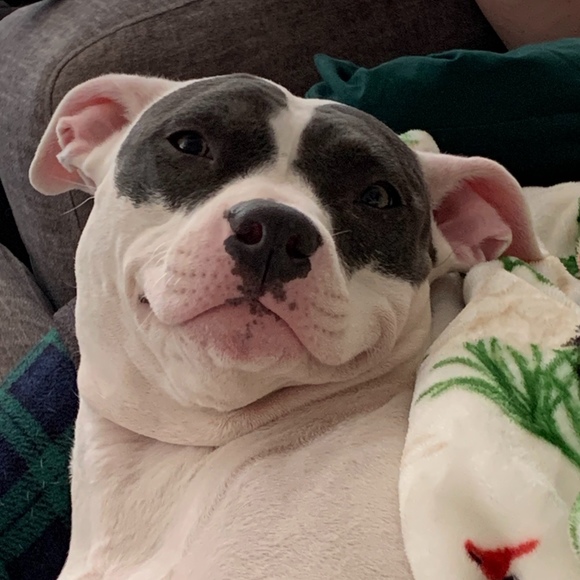 Meet your Posher, Courtney - Picture 1 of 1